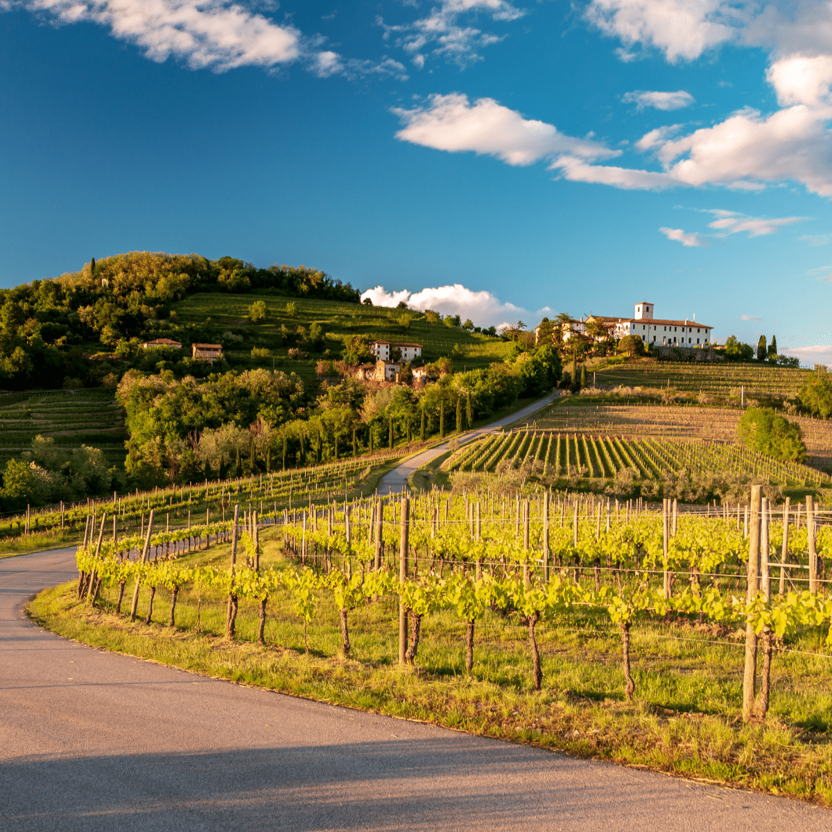 Friuli & Slovenia